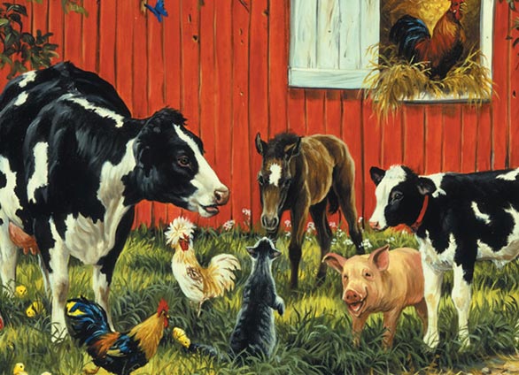 Farm Animals